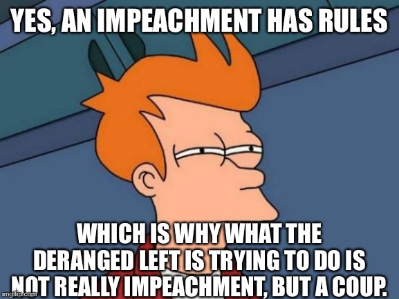 But keep it up with the shenanigans. CNN and the lame stream media is falling down the tubes already. | YES, AN IMPEACHMENT HAS RULES; WHICH IS WHY WHAT THE DERANGED LEFT IS TRYING TO DO IS NOT REALLY IMPEACHMENT, BUT A COUP. | image tagged in memes,futurama fry,trump impeachment,libtards,liberal logic | made w/ Imgflip meme maker