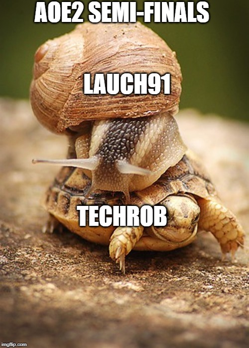 Slow Day | AOE2 SEMI-FINALS; LAUCH91; TECHROB | image tagged in slow day | made w/ Imgflip meme maker