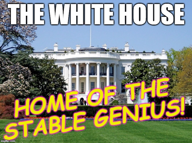 White House | THE WHITE HOUSE; HOME OF THE STABLE GENIUS! | image tagged in white house | made w/ Imgflip meme maker