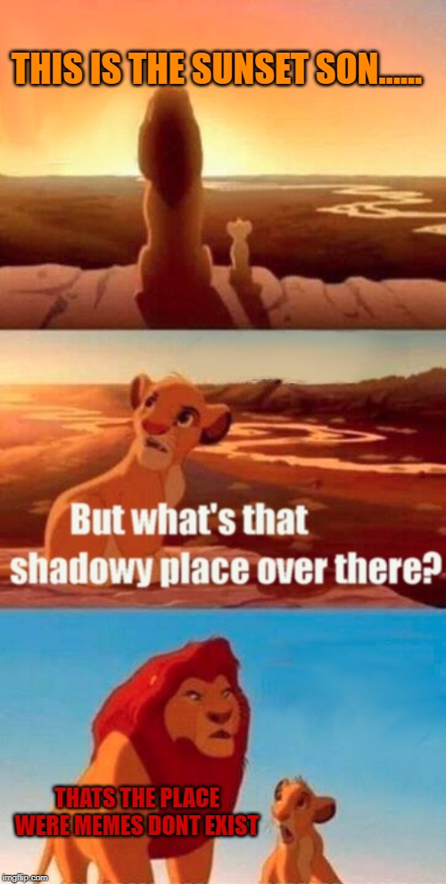Simba Shadowy Place Meme | THIS IS THE SUNSET SON...... THATS THE PLACE WERE MEMES DONT EXIST | image tagged in memes,simba shadowy place | made w/ Imgflip meme maker