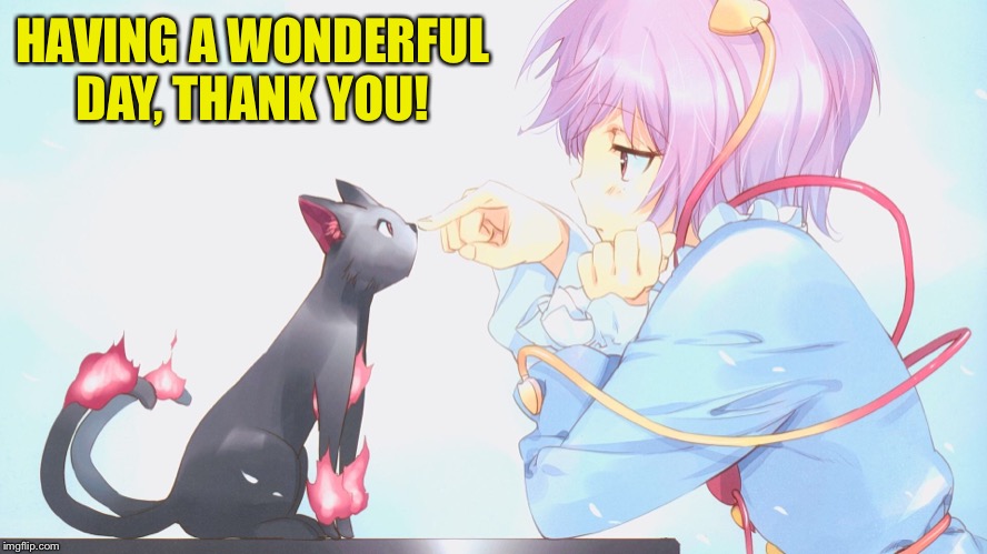 HAVING A WONDERFUL DAY, THANK YOU! | made w/ Imgflip meme maker