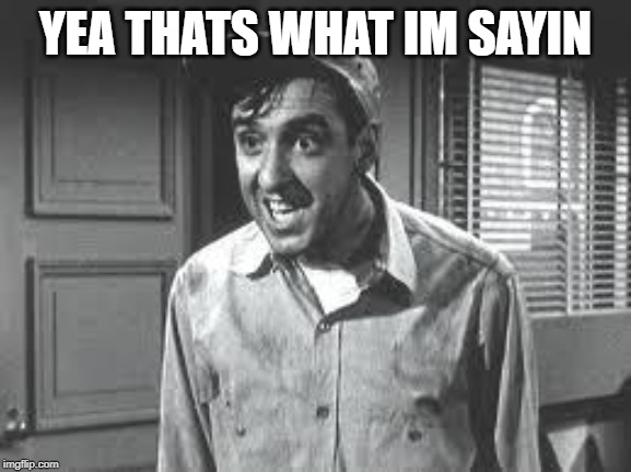 Gomer Pyle | YEA THATS WHAT IM SAYIN | image tagged in gomer pyle | made w/ Imgflip meme maker