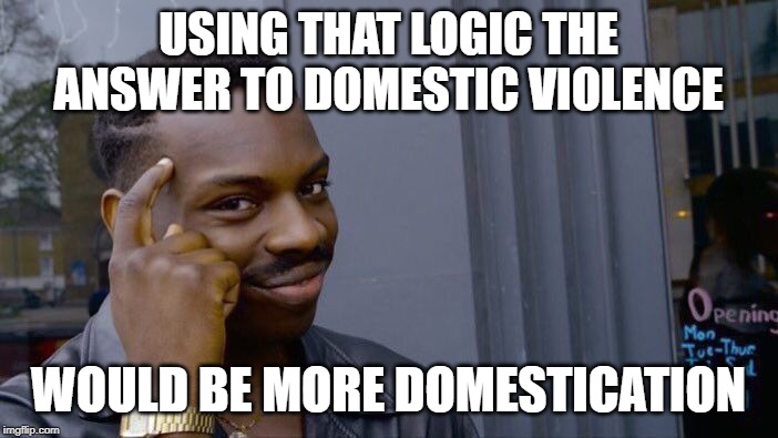 Roll Safe Think About It Meme | USING THAT LOGIC THE ANSWER TO DOMESTIC VIOLENCE WOULD BE MORE DOMESTICATION | image tagged in memes,roll safe think about it | made w/ Imgflip meme maker