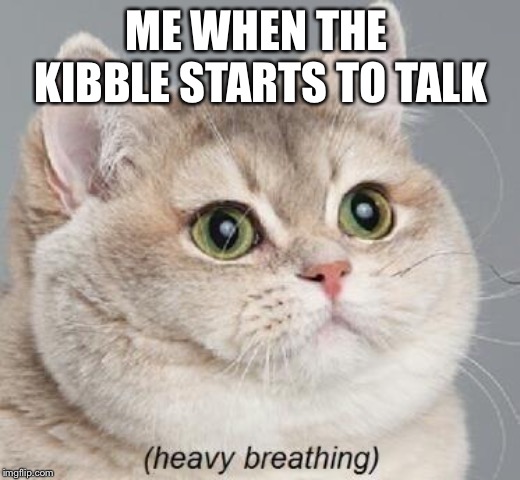 Heavy Breathing Cat | ME WHEN THE 
KIBBLE STARTS TO TALK | image tagged in memes,heavy breathing cat | made w/ Imgflip meme maker