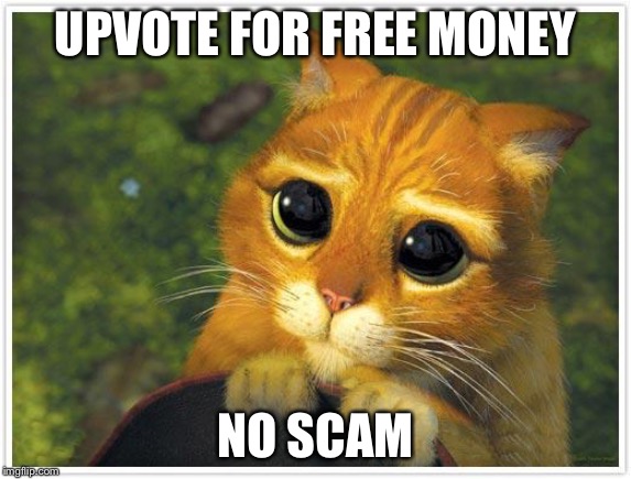 Shrek Cat | UPVOTE FOR FREE MONEY; NO SCAM | image tagged in memes,shrek cat | made w/ Imgflip meme maker