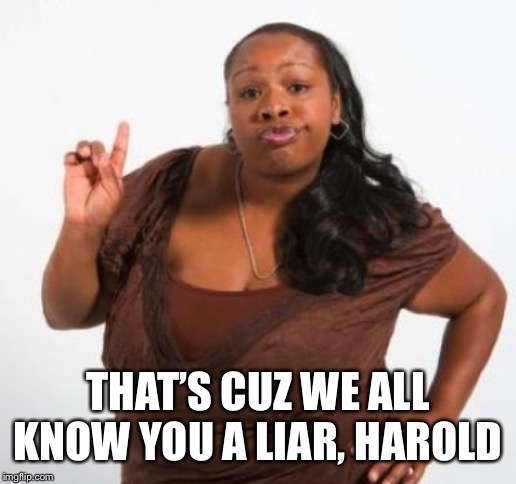 sassy black woman | THAT’S CUZ WE ALL KNOW YOU A LIAR, HAROLD | image tagged in sassy black woman | made w/ Imgflip meme maker