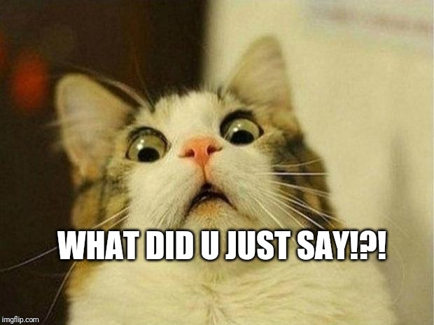 Scared Cat Meme | WHAT DID U JUST SAY!?! | image tagged in memes,scared cat | made w/ Imgflip meme maker