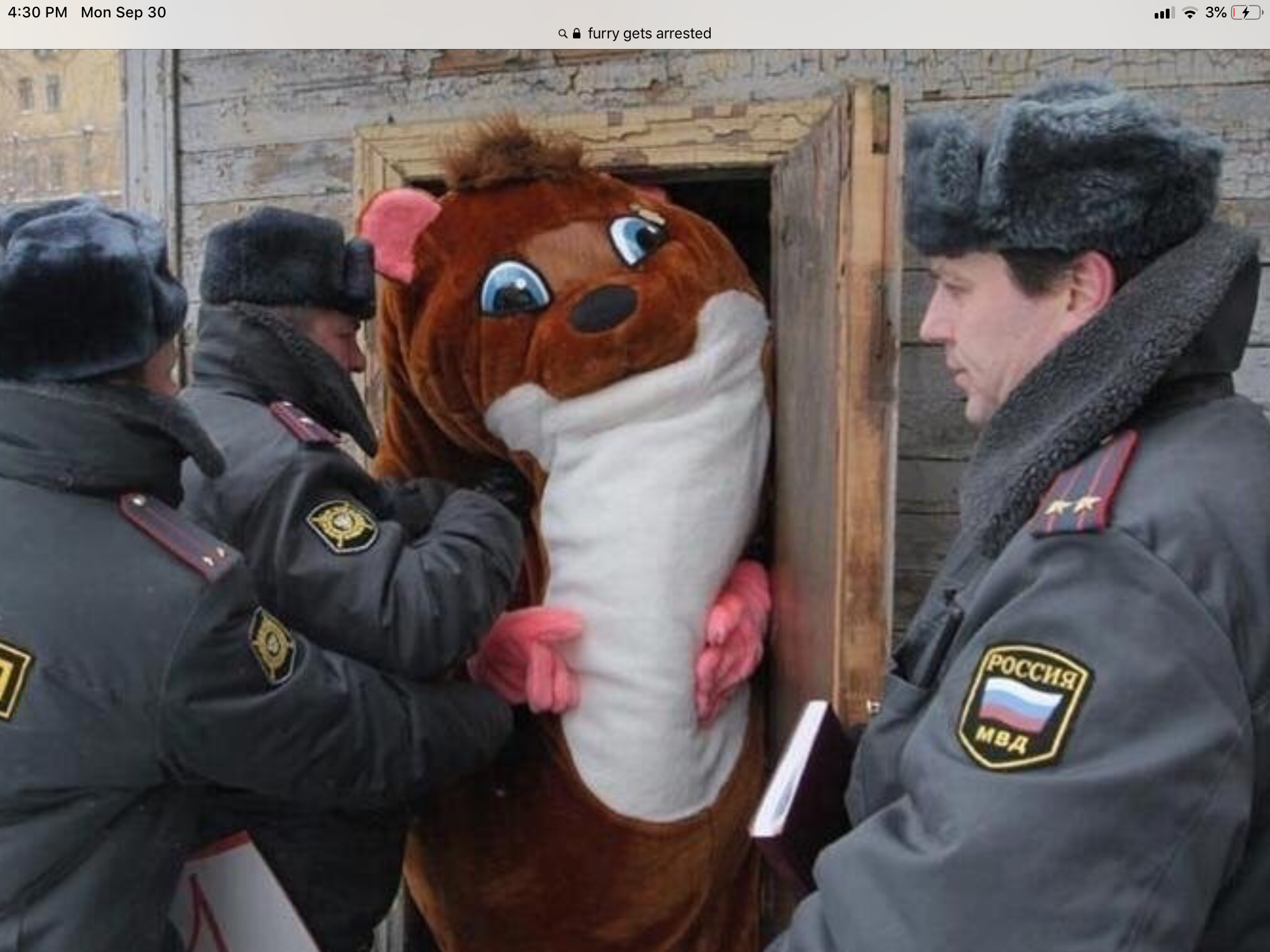Furry gets arrested Blank Meme Template