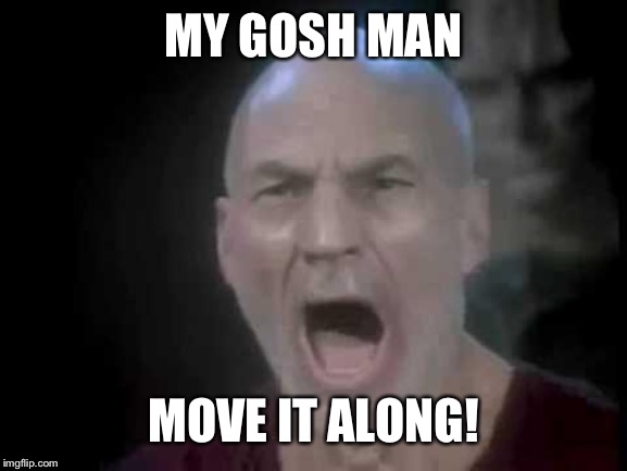 Picard Four Lights | MY GOSH MAN MOVE IT ALONG! | image tagged in picard four lights | made w/ Imgflip meme maker