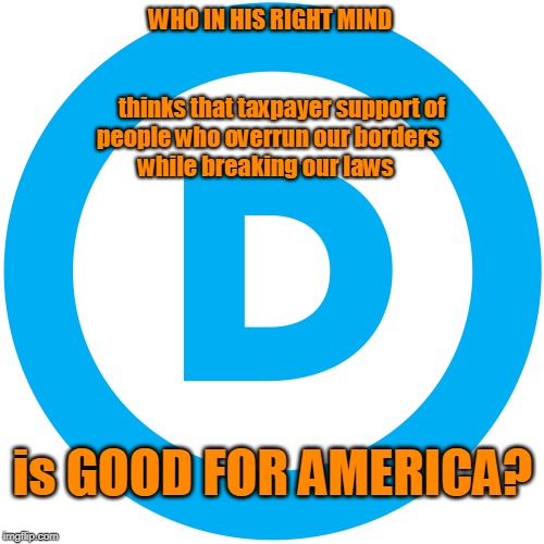Democrats are Out of their Minds | WHO IN HIS RIGHT MIND                                        
     thinks that taxpayer support of people who overrun our borders 
while breaking our laws; is GOOD FOR AMERICA? | image tagged in politics,political meme,political memes,political,american politics,politically correct | made w/ Imgflip meme maker