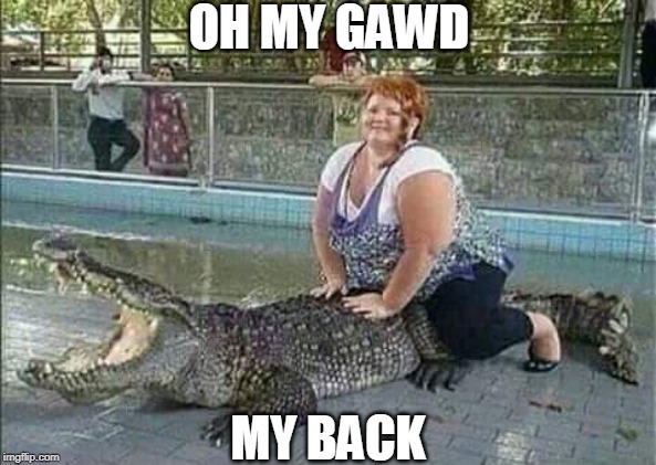 GET IT OFF ME! | OH MY GAWD; MY BACK | image tagged in alligator,fat woman | made w/ Imgflip meme maker