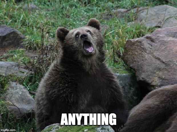 Sarcastic Bear | ANYTHING | image tagged in sarcastic bear | made w/ Imgflip meme maker