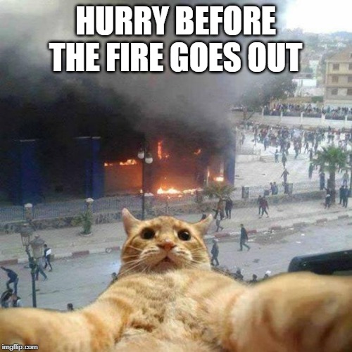 Selfie cat | HURRY BEFORE THE FIRE GOES OUT | image tagged in selfie cat | made w/ Imgflip meme maker