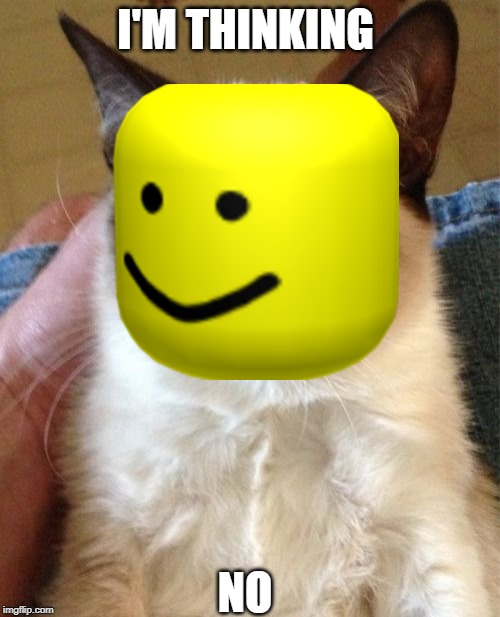 Grumpy Cat | I'M THINKING; NO | image tagged in memes,grumpy cat | made w/ Imgflip meme maker