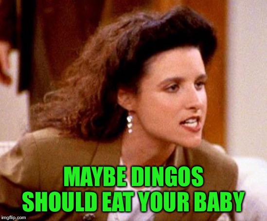 maybe dingos ate your baby | MAYBE DINGOS SHOULD EAT YOUR BABY | image tagged in maybe dingos ate your baby | made w/ Imgflip meme maker