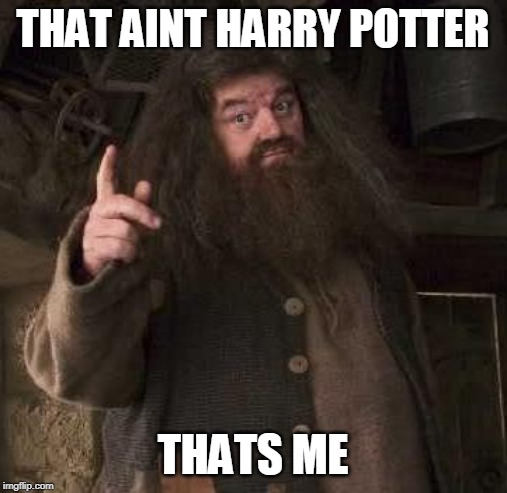 hagrid  | THAT AINT HARRY POTTER THATS ME | image tagged in hagrid | made w/ Imgflip meme maker