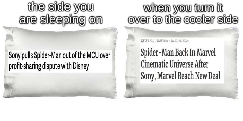 the side you are sleeping on; when you turn it over to the cooler side | image tagged in memes,movies | made w/ Imgflip meme maker