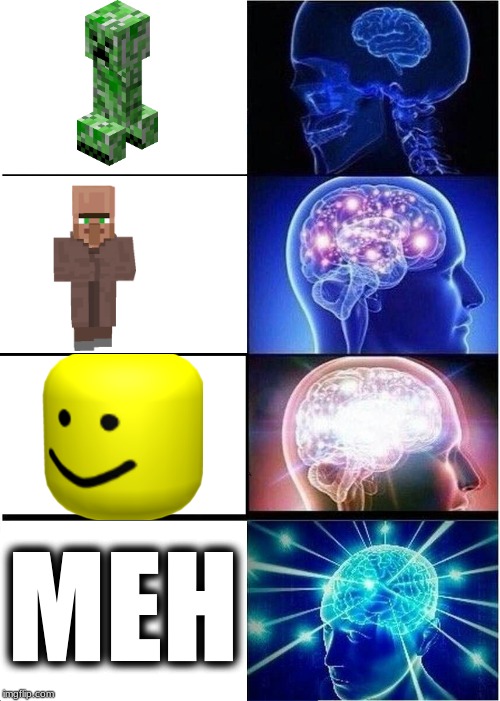 Expanding Brain | MEH | image tagged in memes,expanding brain | made w/ Imgflip meme maker