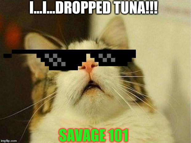 Scared Cat Meme | I...I...DROPPED TUNA!!! SAVAGE 101 | image tagged in memes,scared cat | made w/ Imgflip meme maker
