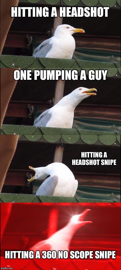 Inhaling Seagull Meme | HITTING A HEADSHOT; ONE PUMPING A GUY; HITTING A HEADSHOT SNIPE; HITTING A 360 NO SCOPE SNIPE | image tagged in memes,inhaling seagull | made w/ Imgflip meme maker
