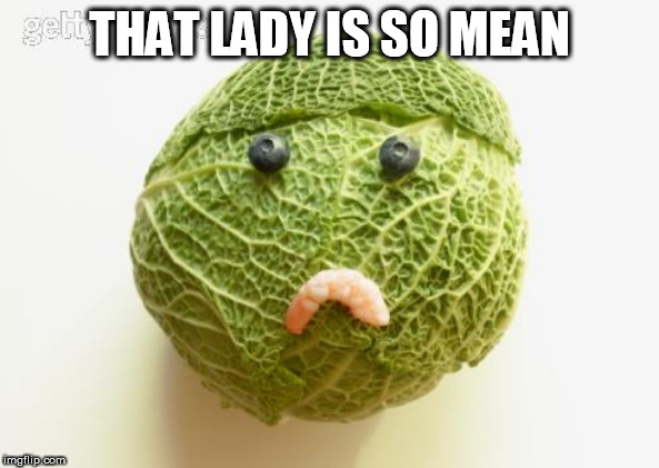 sad cabbage | THAT LADY IS SO MEAN | image tagged in sad cabbage | made w/ Imgflip meme maker