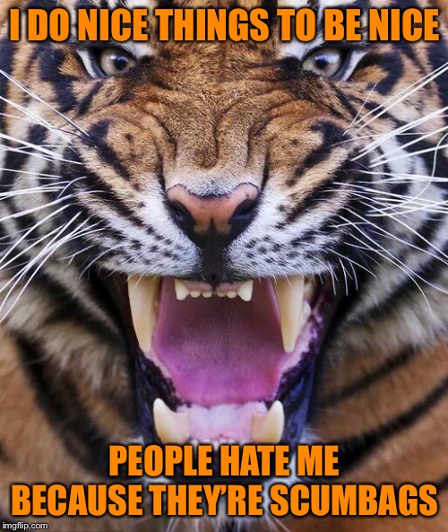 Tiger2 | I DO NICE THINGS TO BE NICE; PEOPLE HATE ME BECAUSE THEY’RE SCUMBAGS | image tagged in tiger2 | made w/ Imgflip meme maker