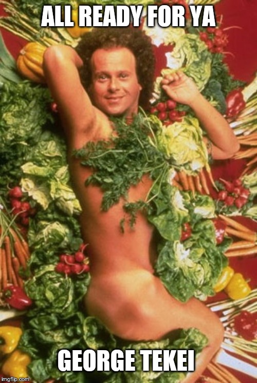 Richard Simmons | ALL READY FOR YA GEORGE TEKEI | image tagged in richard simmons | made w/ Imgflip meme maker