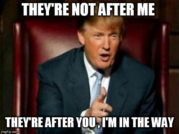 Donald Trump | THEY'RE NOT AFTER ME; THEY'RE AFTER YOU , I'M IN THE WAY | image tagged in donald trump | made w/ Imgflip meme maker
