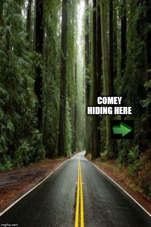 woods | COMEY HIDING HERE | image tagged in woods | made w/ Imgflip meme maker