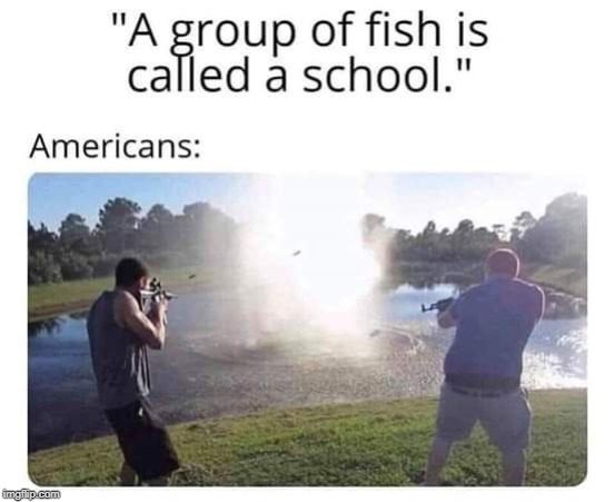 Gun Culture | image tagged in guns,school,school shooting | made w/ Imgflip meme maker
