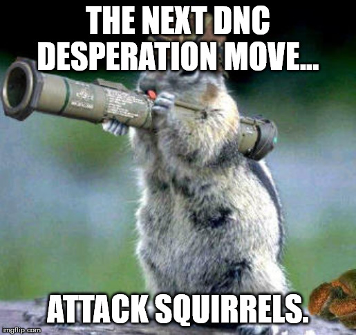 Bazooka Squirrel | THE NEXT DNC DESPERATION MOVE... ATTACK SQUIRRELS. | image tagged in memes,bazooka squirrel | made w/ Imgflip meme maker