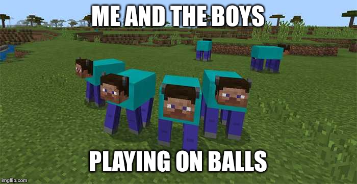 me and the boys | ME AND THE BOYS; PLAYING ON BALLS | image tagged in me and the boys | made w/ Imgflip meme maker