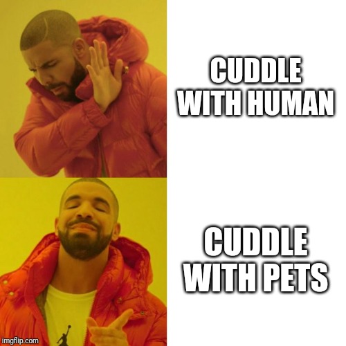 Allergic to Humans | CUDDLE WITH HUMAN; CUDDLE WITH PETS | image tagged in pets,drake,single life | made w/ Imgflip meme maker