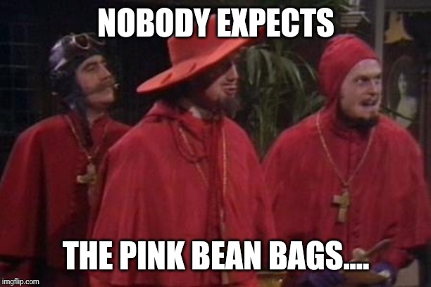 Nobody Expects the Spanish Inquisition Monty Python | NOBODY EXPECTS; THE PINK BEAN BAGS.... | image tagged in nobody expects the spanish inquisition monty python | made w/ Imgflip meme maker
