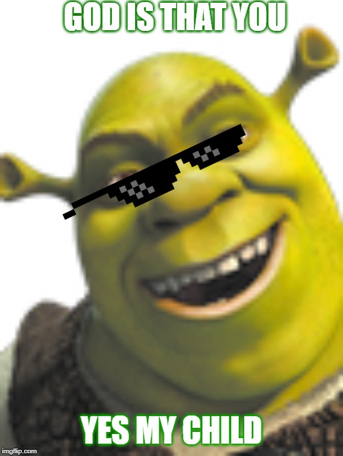 GOD!!! | GOD IS THAT YOU; YES MY CHILD | image tagged in shrek face | made w/ Imgflip meme maker