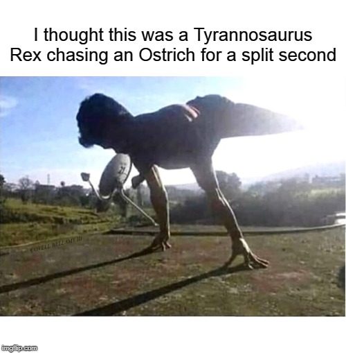 I thought this was a Tyrannosaurus Rex chasing an Ostrich for a split second; COVELL BELLAMY III | image tagged in tyrannosaurus rex | made w/ Imgflip meme maker