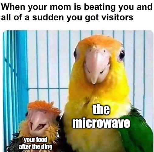 piggybacking off of someone else's meme | the microwave; your food after the ding | image tagged in memes,meming | made w/ Imgflip meme maker