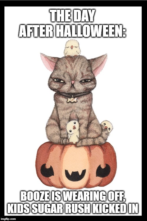 Grumpy Halloween Cat | THE DAY AFTER HALLOWEEN:; BOOZE IS WEARING OFF,
KIDS SUGAR RUSH KICKED IN | image tagged in grumpy halloween cat | made w/ Imgflip meme maker
