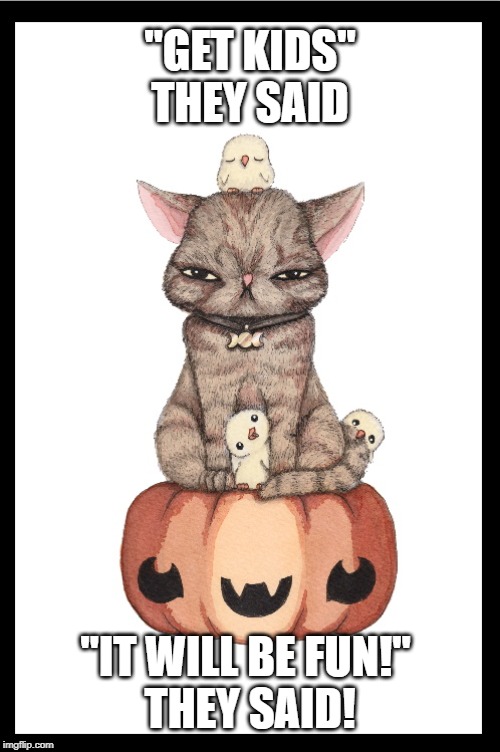 Grumpy Halloween Cat | "GET KIDS" THEY SAID; "IT WILL BE FUN!" 
THEY SAID! | image tagged in grumpy halloween cat | made w/ Imgflip meme maker