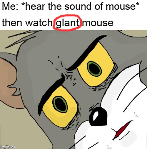 dont hear the sound of glant mouse, but cat can watch! | Me: *hear the sound of mouse*; then watch glant mouse | image tagged in memes,unsettled tom,funny,cats,mouse,wtf | made w/ Imgflip meme maker