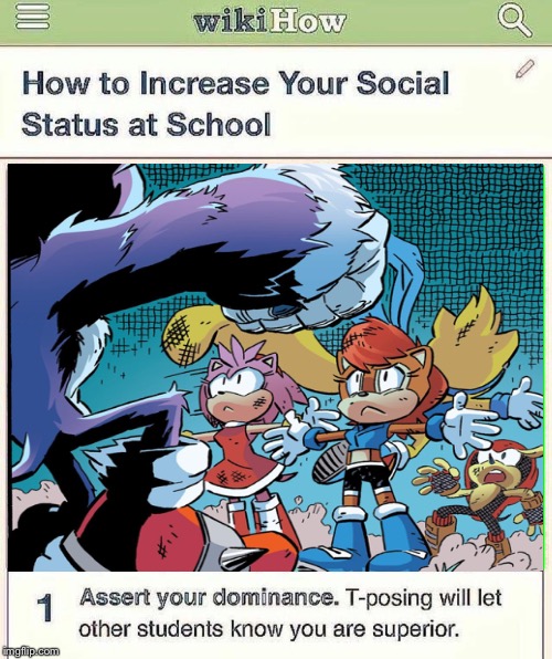 Amy and sally will show you how. | image tagged in t-pose,assert your dominance,sonic the hedgehog | made w/ Imgflip meme maker