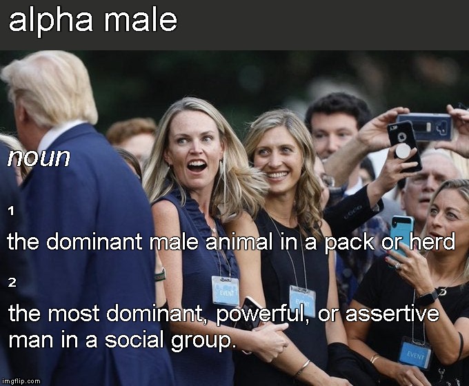 Lookie Lookie ! | alpha male; noun; ¹
the dominant male animal in a pack or herd; ²
the most dominant, powerful, or assertive
man in a social group. | image tagged in memes,donald trump,alpha male,pack,masculinity | made w/ Imgflip meme maker