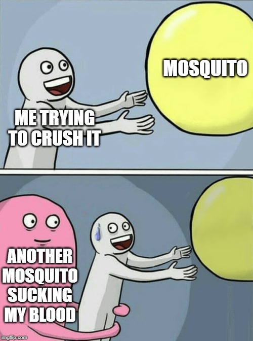 Running Away Balloon | MOSQUITO; ME TRYING TO CRUSH IT; ANOTHER MOSQUITO SUCKING MY BLOOD | image tagged in memes,running away balloon | made w/ Imgflip meme maker