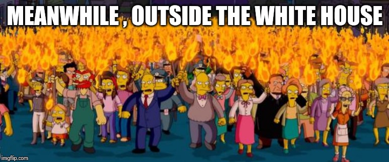 Simpsons angry mob torches | MEANWHILE , OUTSIDE THE WHITE HOUSE | image tagged in simpsons angry mob torches | made w/ Imgflip meme maker