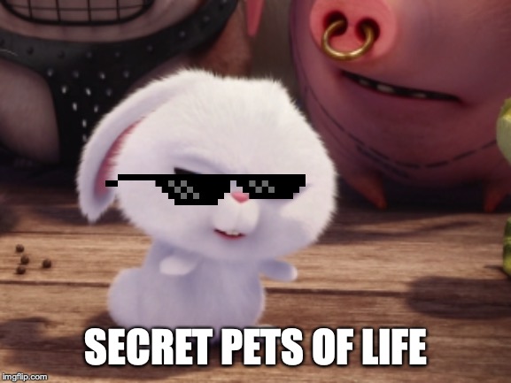Secret Life of Pets - Snowball #3 | SECRET PETS OF LIFE | image tagged in secret life of pets - snowball 3 | made w/ Imgflip meme maker