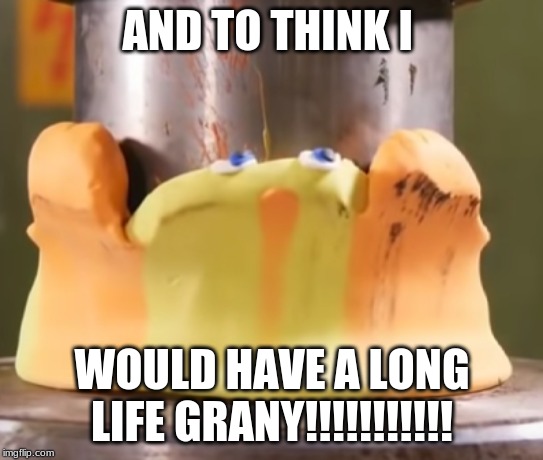 the bird | AND TO THINK I; WOULD HAVE A LONG LIFE GRANY!!!!!!!!!!! | image tagged in funny | made w/ Imgflip meme maker