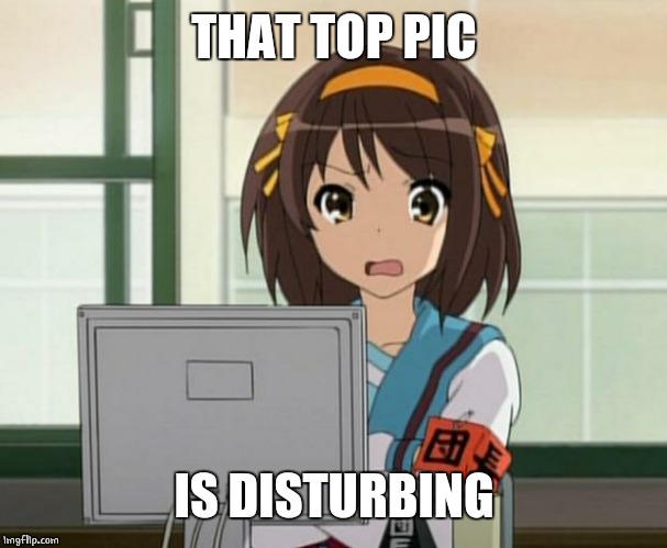 Haruhi Internet disturbed | THAT TOP PIC IS DISTURBING | image tagged in haruhi internet disturbed | made w/ Imgflip meme maker