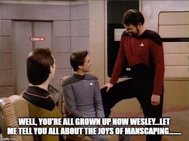 Riker Advice | WELL, YOU'RE ALL GROWN UP NOW WESLEY...LET ME TELL YOU ALL ABOUT THE JOYS OF MANSCAPING........ | image tagged in data wesley riker leg raised | made w/ Imgflip meme maker