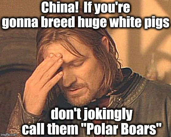 Talk about lame! | China!  If you're gonna breed huge white pigs; don't jokingly call them "Polar Boars" | image tagged in memes,frustrated boromir | made w/ Imgflip meme maker