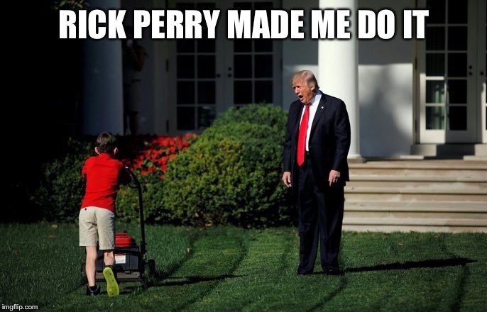 Trump Lawn Mower | RICK PERRY MADE ME DO IT | image tagged in trump lawn mower,donald trump,trump yells at lawnmower kid | made w/ Imgflip meme maker